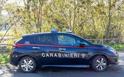 Denunciato il titolare di un allevamento dai Carabinieri Forestali