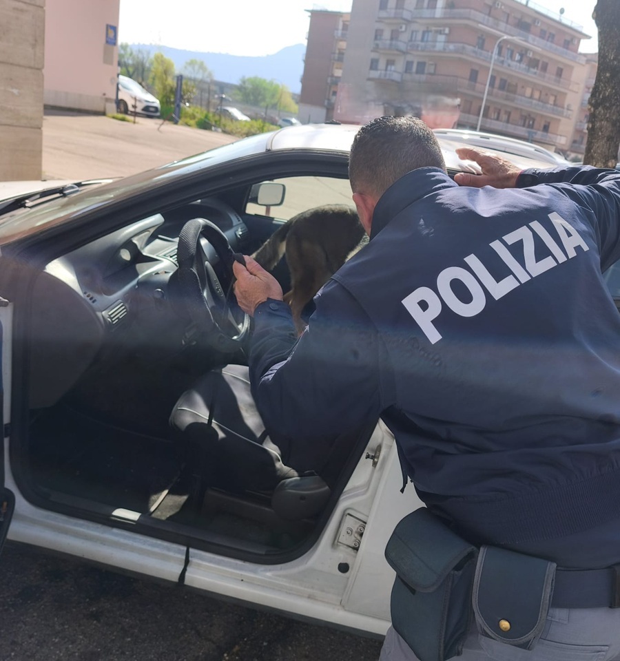“Scuole sicure”, controlli antidroga della Polizia