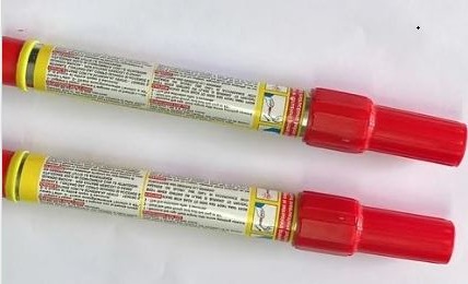 Torce allo stadio nascoste negli slip, denuncia e DASPO per due tifosi del Bari