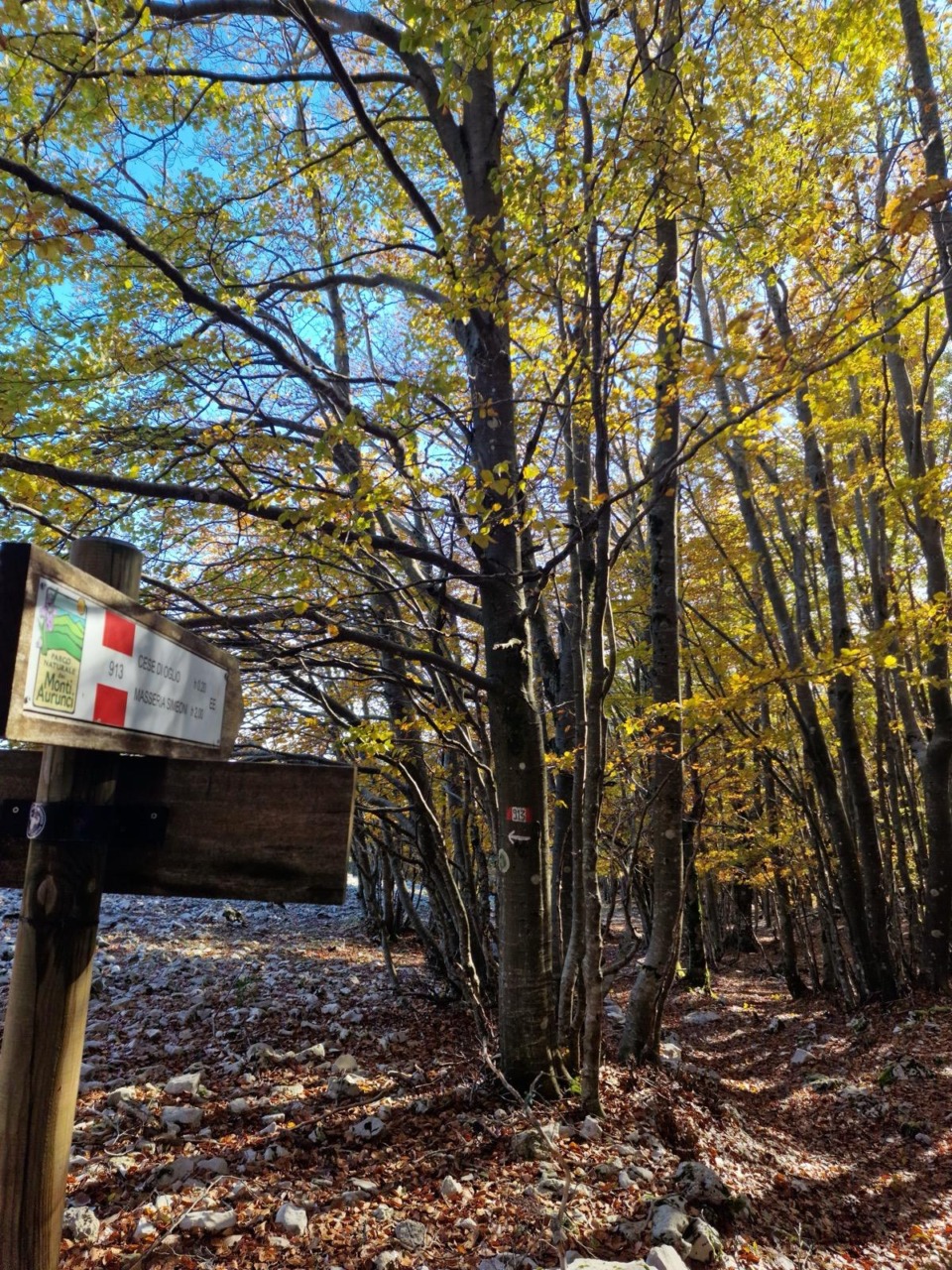 Monti Aurunci, domenica 8 marzo giornata di manutenzione dei sentieri con il CAI