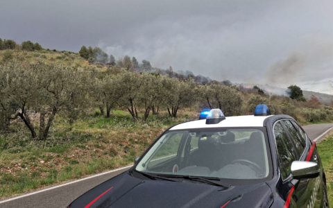 Vasto incendio sulle colline: dodici ore di inferno domate dai soccorritori