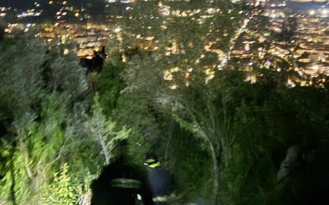 Minorenne inseguito dai cinghiali si perde nel bosco, salvato