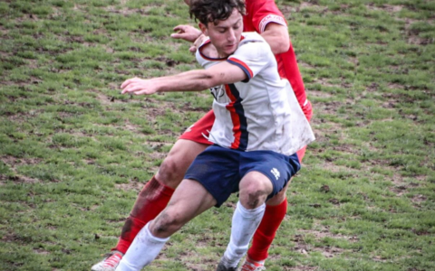 Il programma della domenica