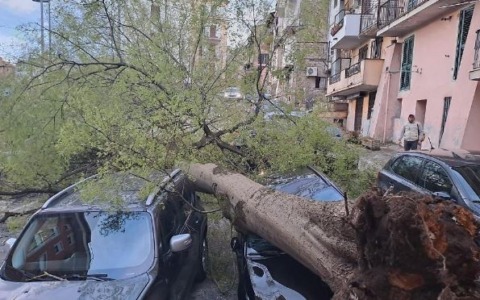 Maltempo, albero finisce su un’auto a Sora: feriti due findanzati. Scuole chiuse in diversi comuni. Lieve scossa di terremoto a Picinisco