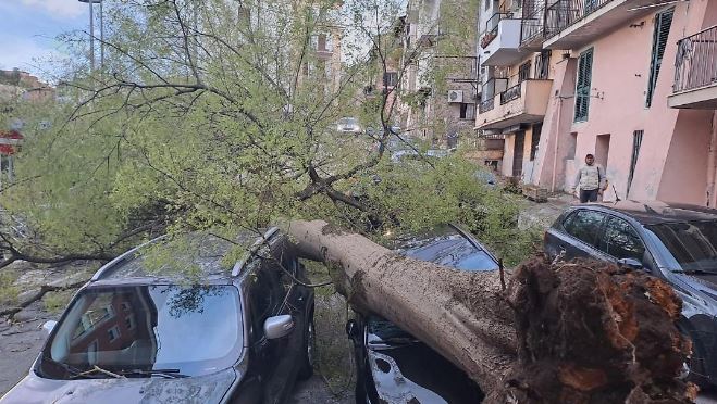 Maltempo, albero finisce su un’auto a Sora: feriti due findanzati. Scuole chiuse in diversi comuni. Lieve scossa di terremoto a Picinisco