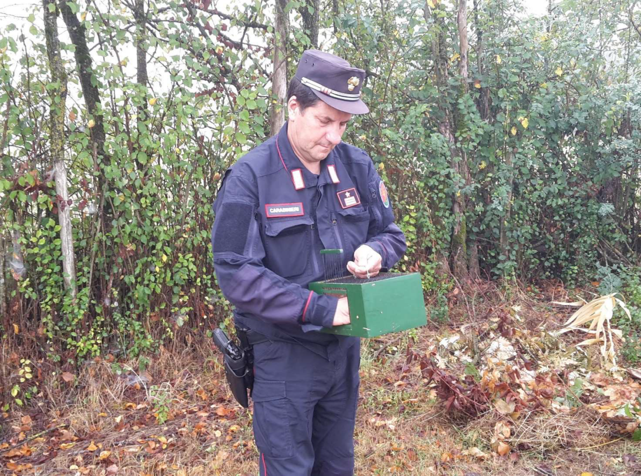 Caccia, il bilancio dei controlli dei Nuclei Carabinieri Forestali