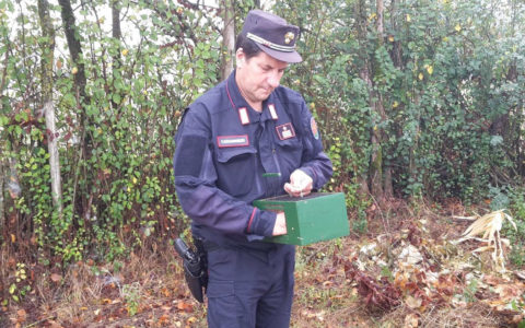 Caccia, il bilancio dei controlli dei Nuclei Carabinieri Forestali