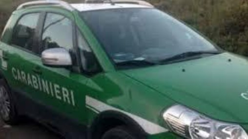 Denunciato per realizzazione opere edilizie abusive