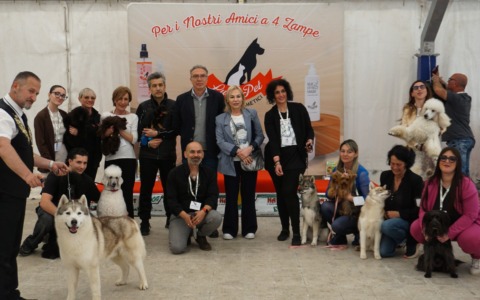 Successo per il Dog Day Festival 2026