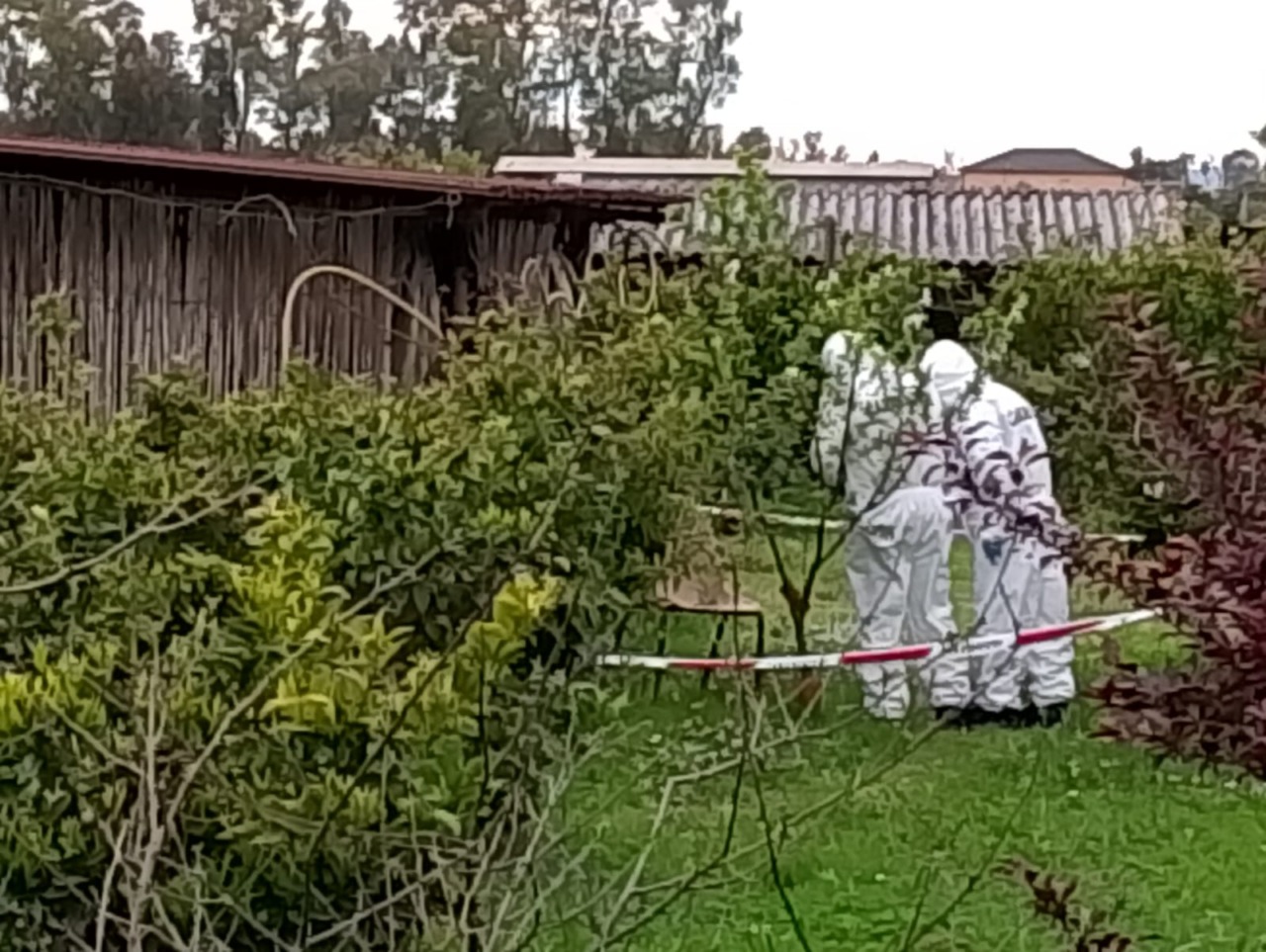 L’omicidio di Giuseppe Pirani, sequestrati due coltelli