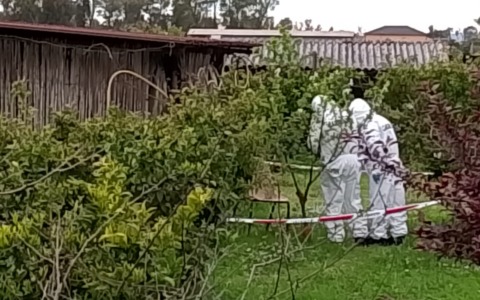 L’omicidio di Giuseppe Pirani, sequestrati due coltelli