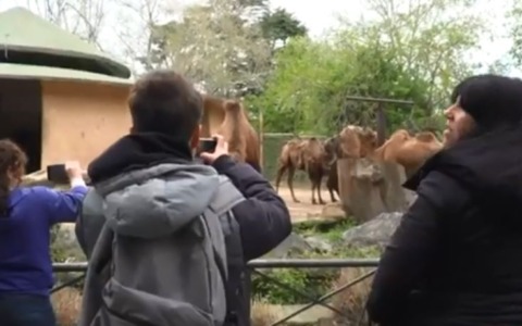 Autismo: il Policlinico Campus Bio-Medico al Bioparco con i bambini e le famiglie