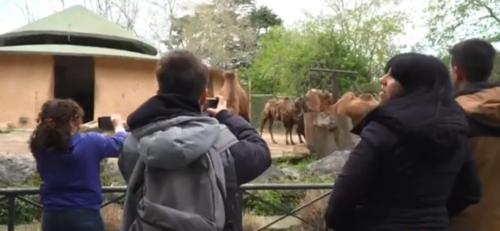 Autismo: il Policlinico Campus Bio-Medico al Bioparco con i bambini e le famiglie