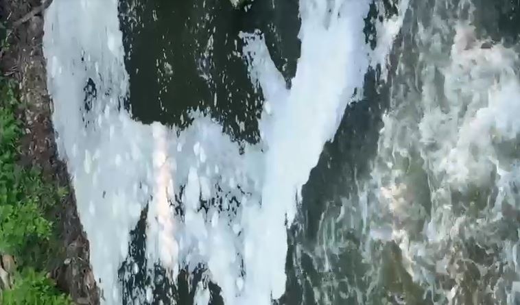 Fiume Sacco, ancora schiuma. Nuova denuncia dei residenti