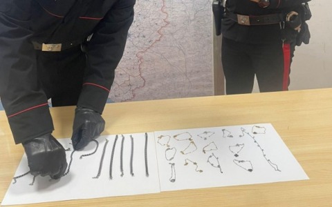 Ripresa dalle telecamere mentre commette un furto, denunciata