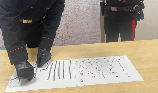 Ripresa dalle telecamere mentre commette un furto, denunciata