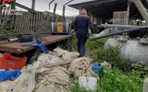 Deposito e combustione illecita di rifiuti nel Parco