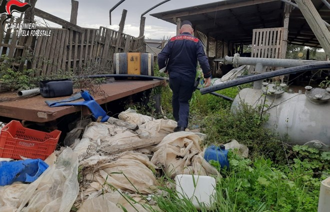 Deposito e combustione illecita di rifiuti nel Parco