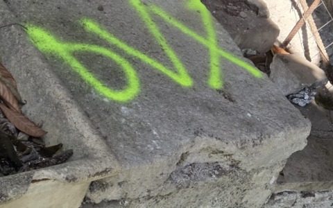 “Horti di Porta Paldi”, nuovo episodio di vandalismo