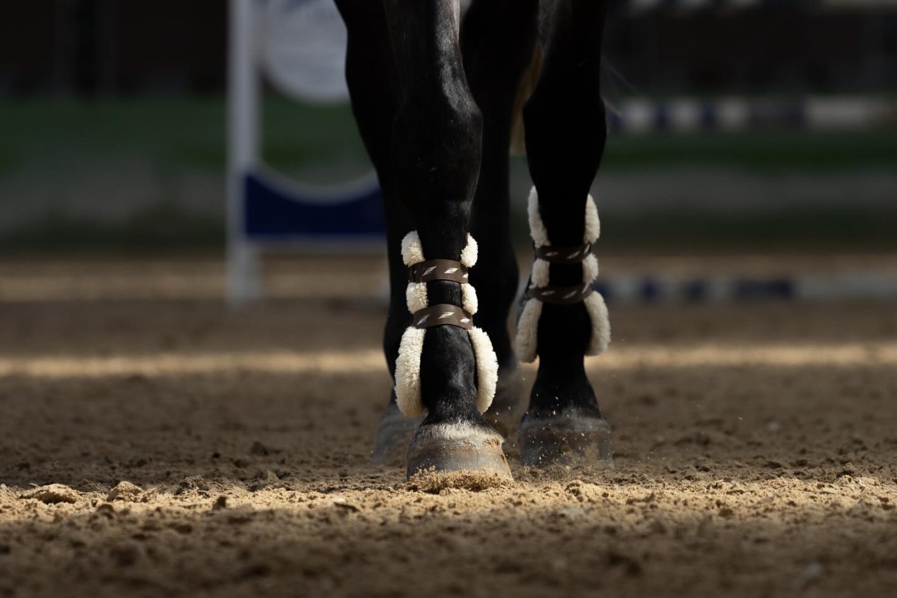 Prima tappa del Fise-Masaf. Sullo sfondo il concorso Piazza di Siena