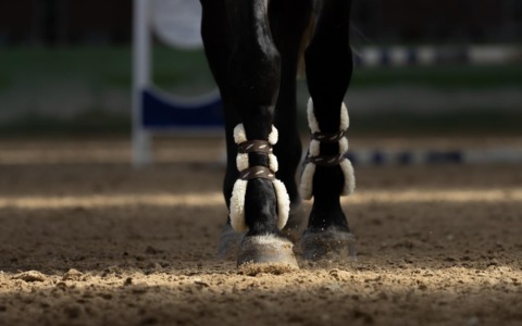 Prima tappa del Fise-Masaf. Sullo sfondo il concorso Piazza di Siena