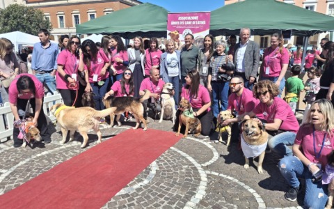 Successo per “Il Canile va in città”
