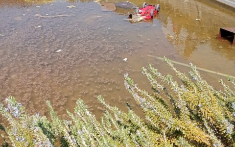 Pugno duro contro gli incivili: tra rifiuti nella fontana e boom della differenziata