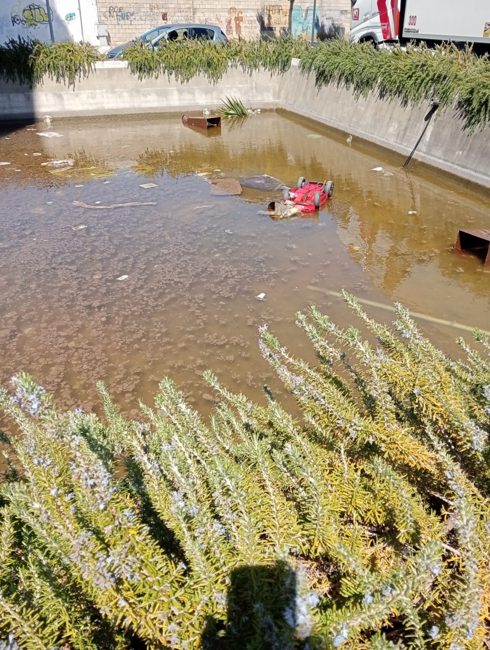 Pugno duro contro gli incivili: tra rifiuti nella fontana e boom della differenziata