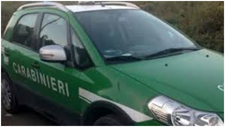 Abbandona rifiuti a Pisterzo, rintracciato dai Forestali grazie agli scontrini