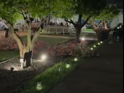 Furto in un ristorante, svuotati due frigoriferi di pesce