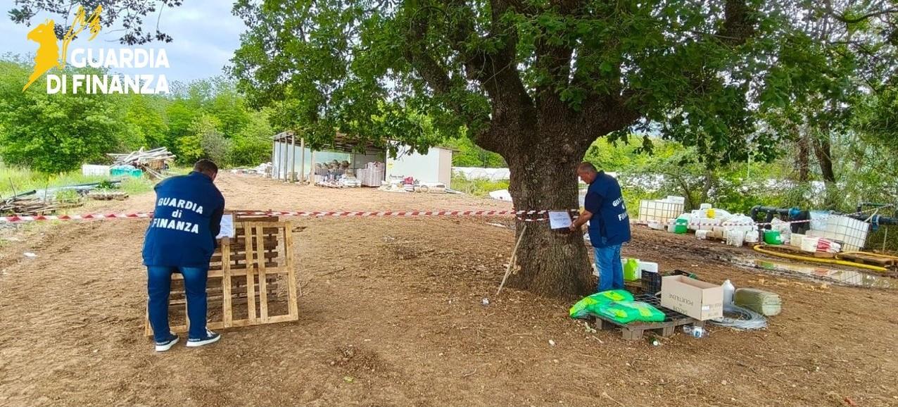Contrasto al lavoro irregolare nel settore agroalimentare, le ispezioni della Guardia di  Finanza