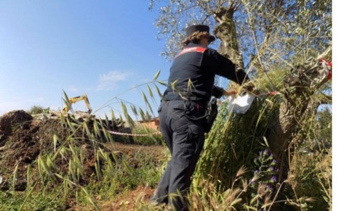 Abusivismo: sbancamenti in zona protetta, scatta il sequestro