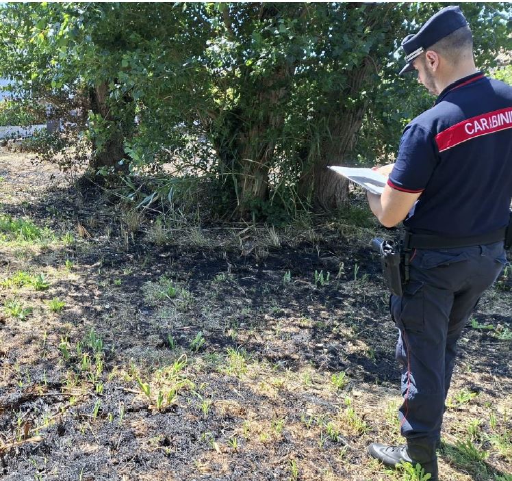 Incendio di sterpaglie per pulire il terreno, denunciato il trasgressore