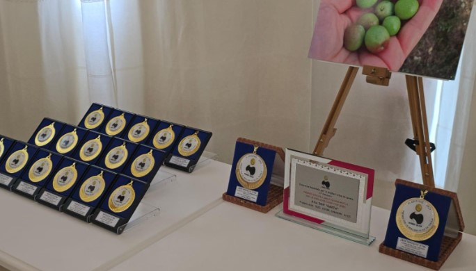 Tutto pronto per la dodicesima edizione di “Monna Oliva”