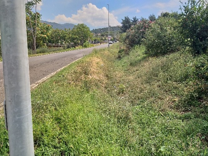 Sicurezza stradale, al via lavori sulla Provinciale Bretella San Rocco