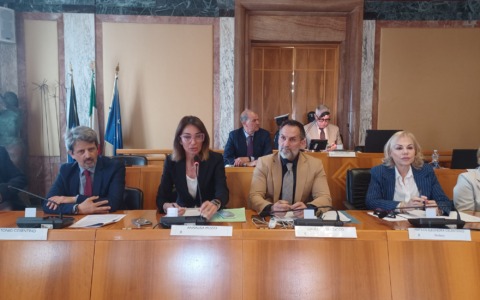 Pua, ok unanime del Consiglio comunale