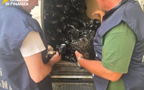 Sequestrati 25 chili di papavero da oppio e tabacco di contrabbando, un arresto