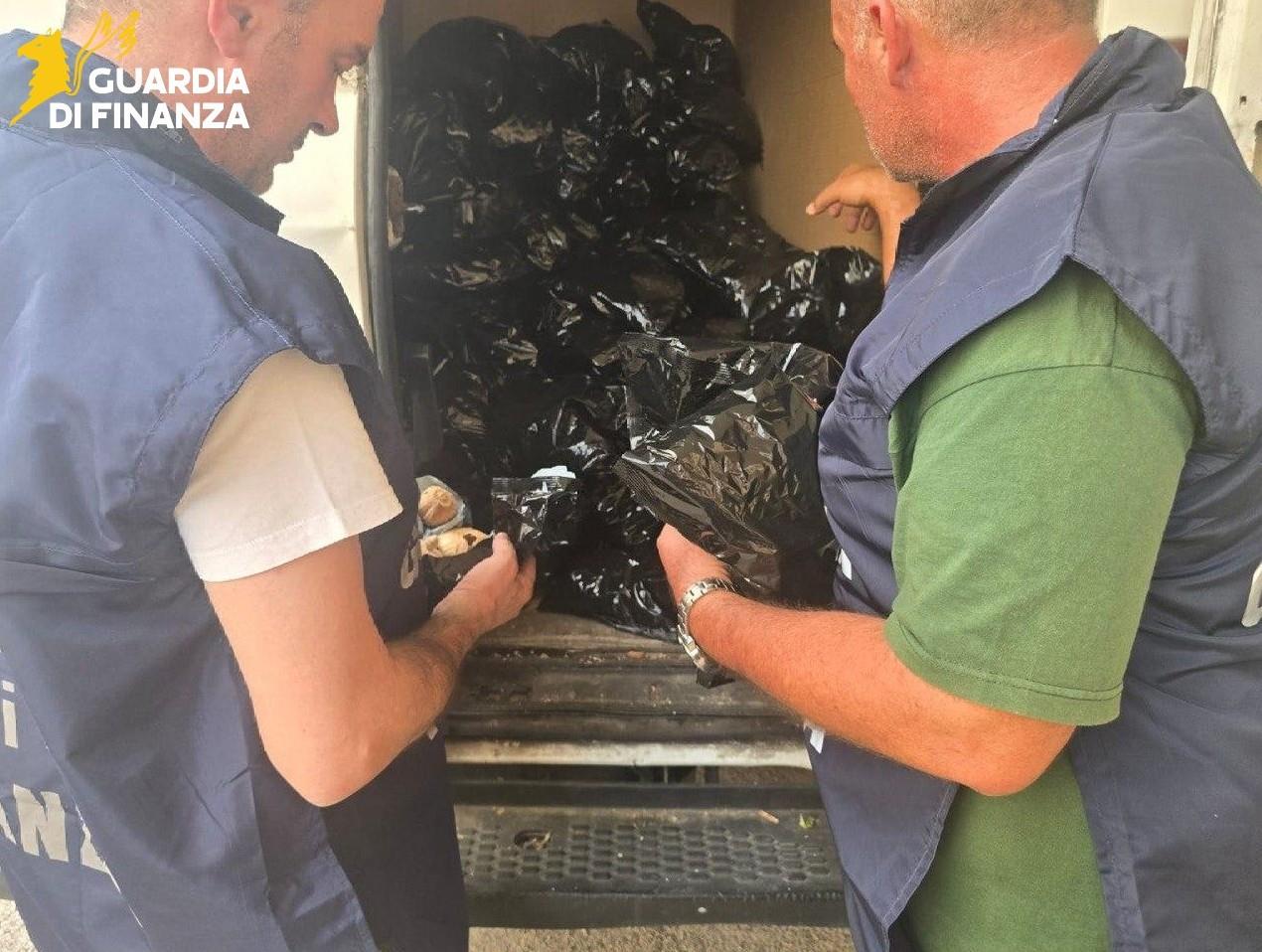 Sequestrati 25 chili di papavero da oppio e tabacco di contrabbando, un arresto