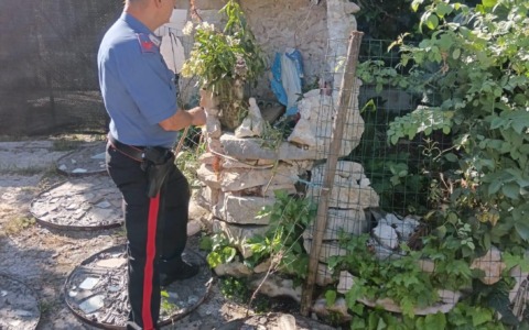 Vandalizzata un’altra statua della Madonna