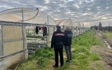 Caporalato nelle campagne pontine, 7 aziende sospese e 17 denunce