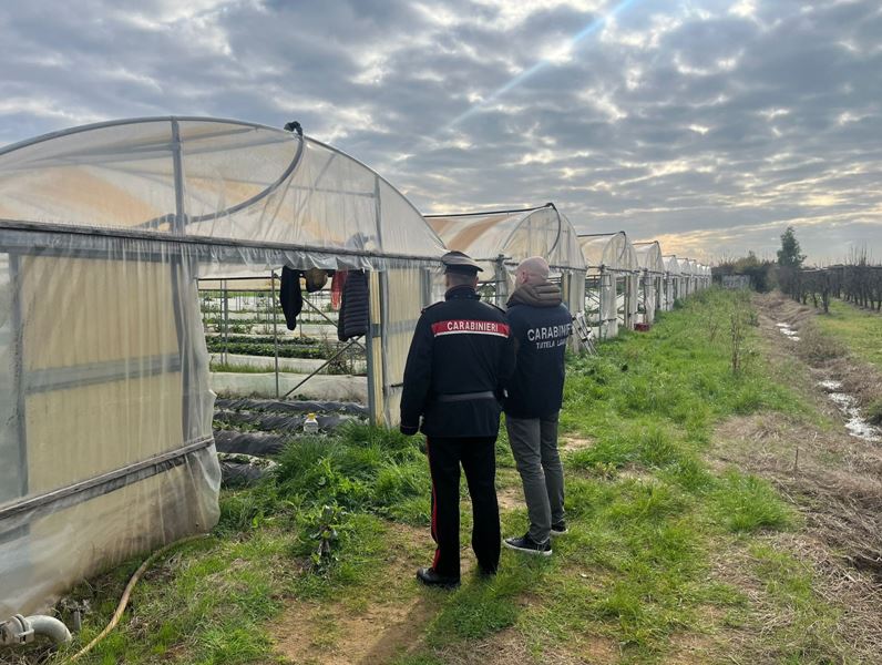 Caporalato nelle campagne pontine, 7 aziende sospese e 17 denunce