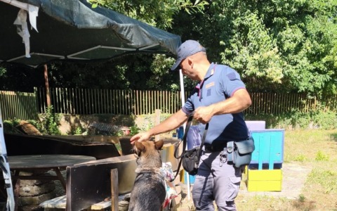 Blitz della polizia nelle case popolari, droga sequestrata e tre alloggi ATER restituiti
