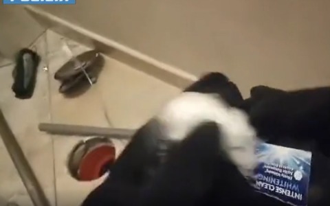 Cocaina nascosta in un sifone, fondamentale il fiuto di Odina: uomo e donna in manette