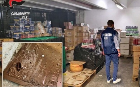 Ancora scarsa igiene, chiuso il magazzino di un grande supermercato: “Blatte ed escrementi di topi”