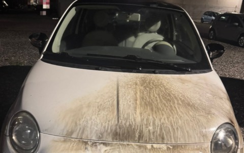 Molotov contro la ditta di autodemolizioni, Fiat 500 danneggiata