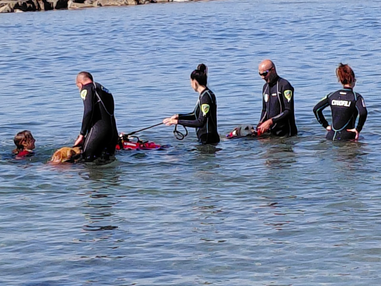 Cani da salvataggio, comincia domani il tour sulle spiagge