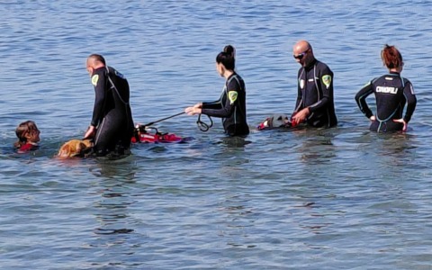 Cani da salvataggio, comincia domani il tour sulle spiagge