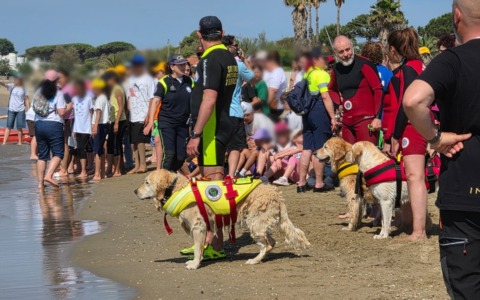 Mare Amico: sicurezza, inclusione e sensibilizzazione ambientale