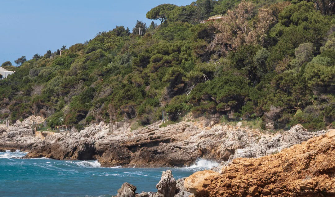 Navetta elettrica verso Via delle Batterie. Si parte da sabato prossimo