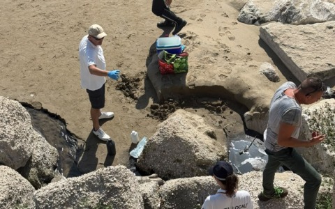 Sversamento di sostanze oleose sulla spiaggia, evitato un danno ambientale